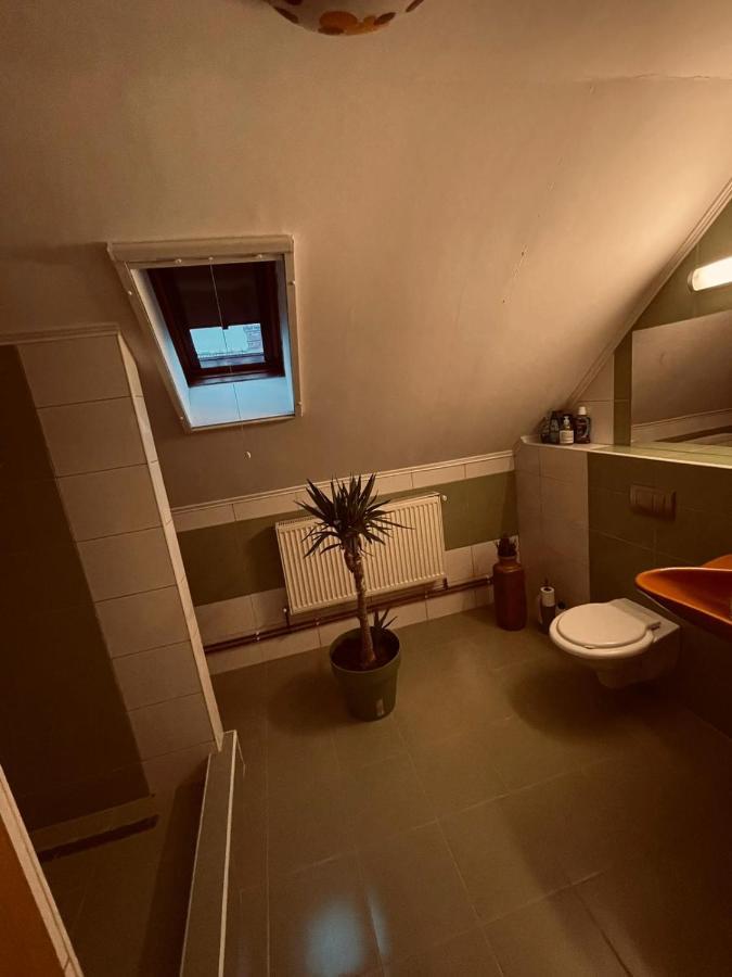 Foeni Casa Verde מראה חיצוני תמונה